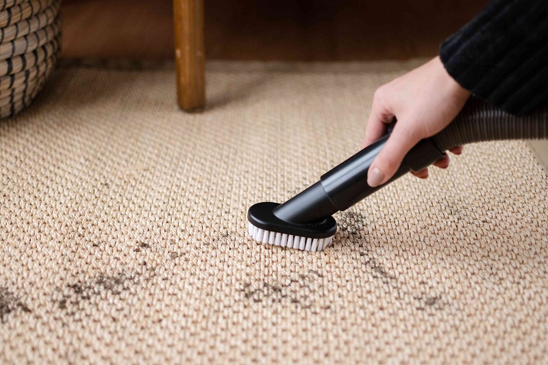 Benefits and drawbacks of sisal carpets