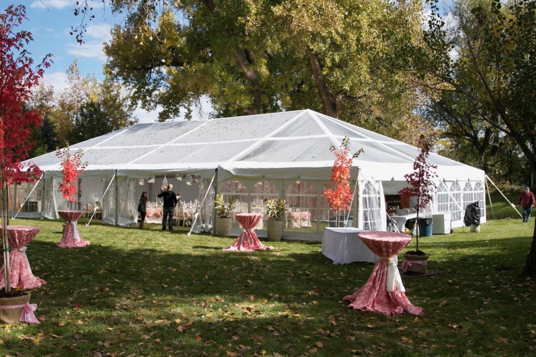 Why Your Backyard Party Needs a Tent