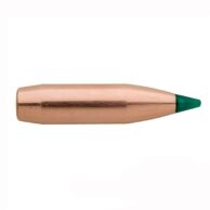 Ready to Step Up? Unlock Accuracy with Sierra Projectiles